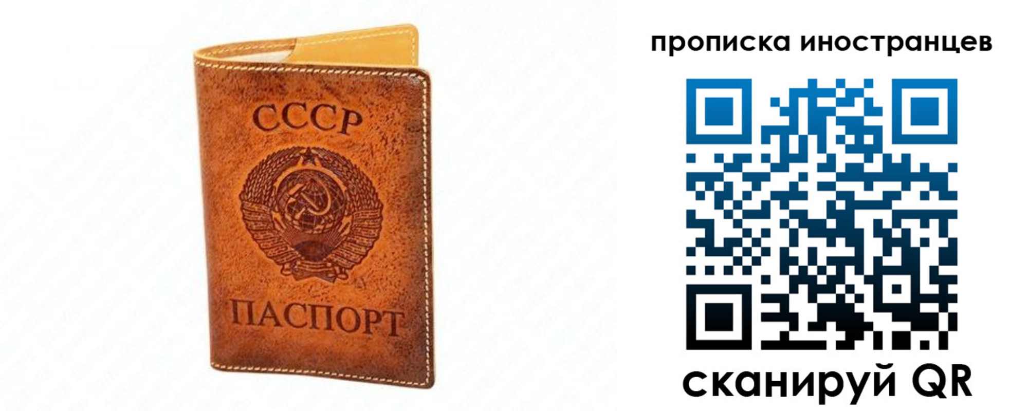 прописка для школы в Тамбове
